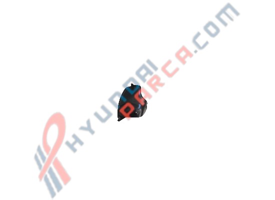 ELANTRA ARKA ÇAMURLUK DAVLUMBAZI SAĞ 2016- 86822-F2000-YS